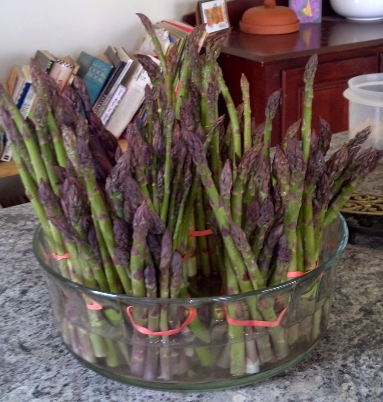 1st%20harvest%20asparagus%20processed[1].jpg