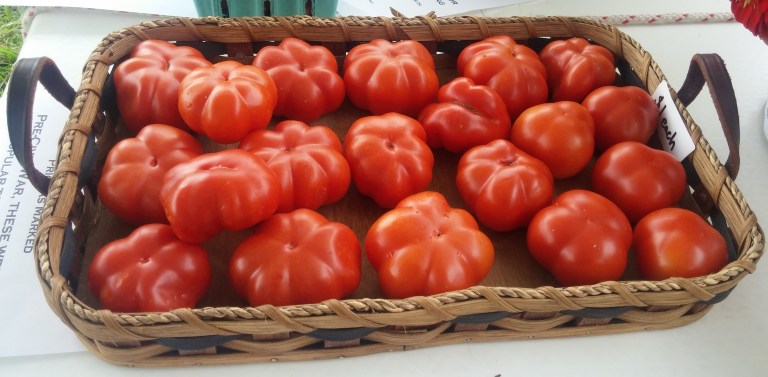 Old%20Large%20Red%20Tomatoes[1].jpg