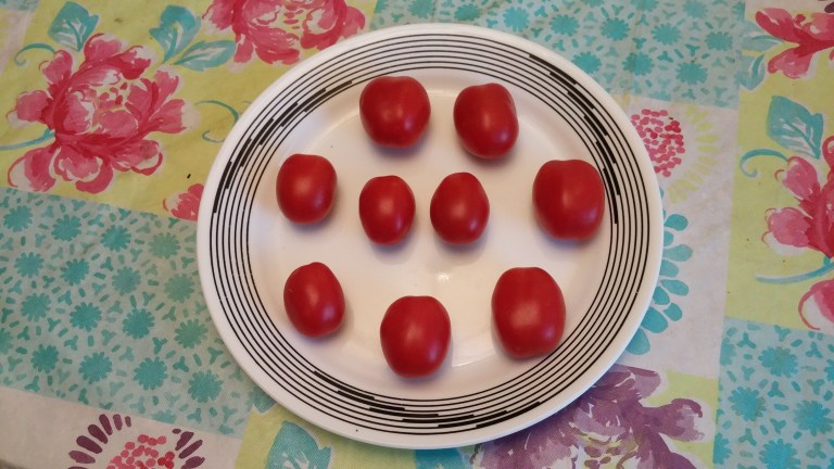 RU%20tomatoes%20on%20plate[1].jpg