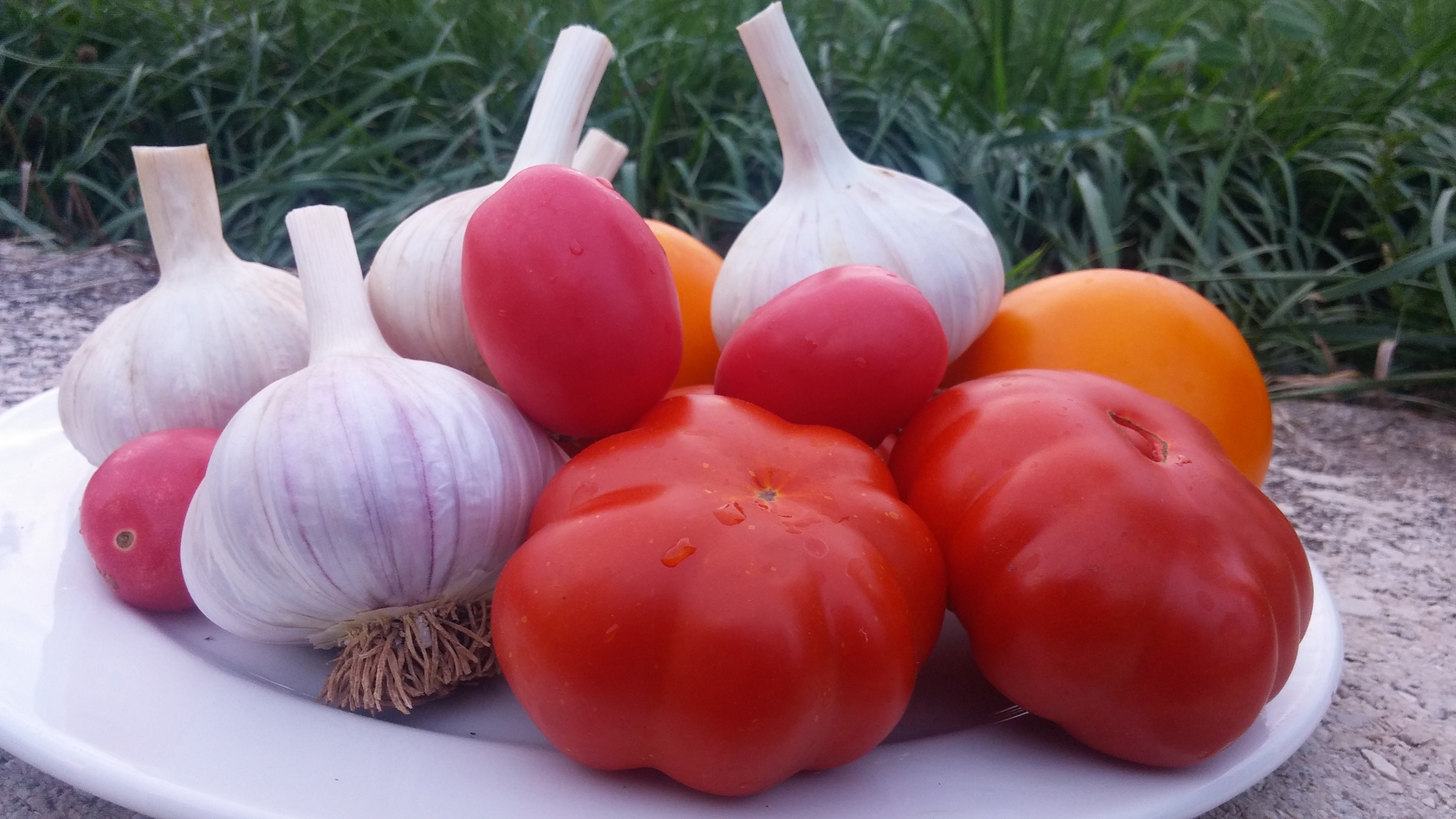 tomatoes%20and%20garlic[1].jpg