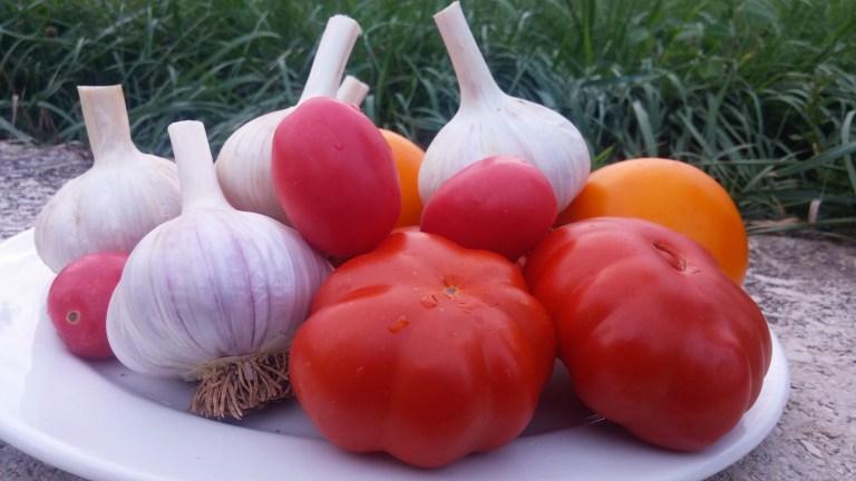 tomatoes%20and%20garlic[1].jpg